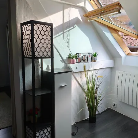 Cocoon Charmant- Wi-fi & Clim -piscine Διαμέρισμα Hartmannswiller