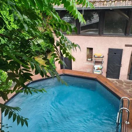Cocoon Charmant- Wi-fi & Clim -piscine Διαμέρισμα Hartmannswiller